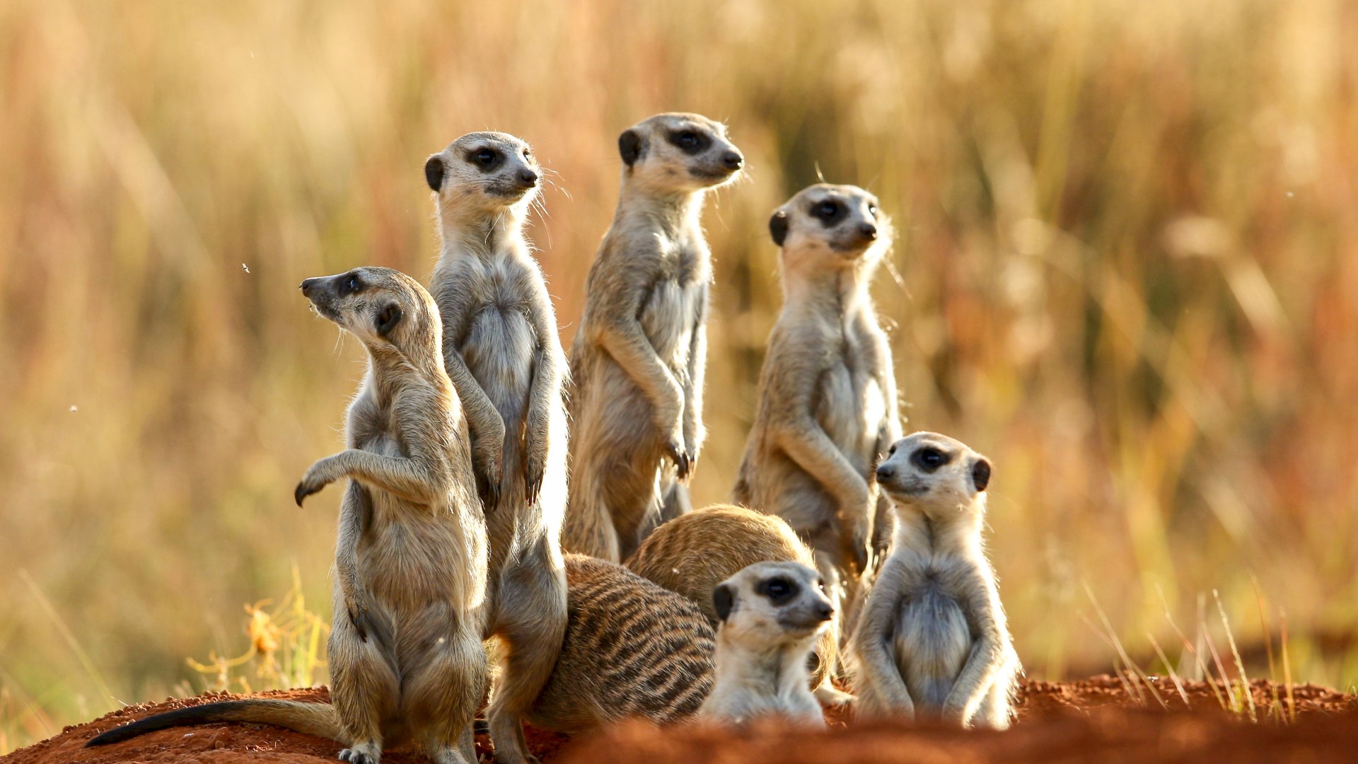 Roadtrip entlang der Garden Route